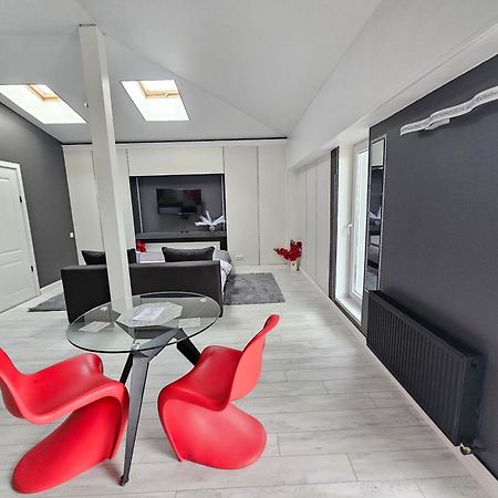 Apartament With Terras Kiszyniów Zewnętrze zdjęcie