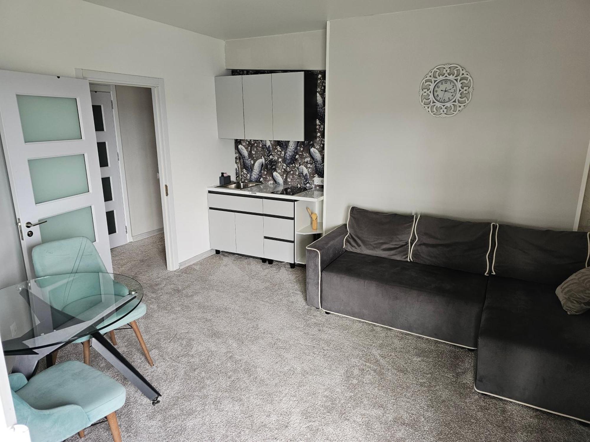 Apartament With Terras Kiszyniów Zewnętrze zdjęcie