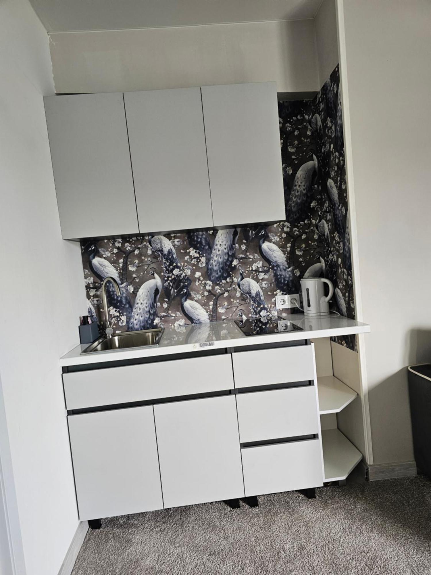 Apartament With Terras Kiszyniów Zewnętrze zdjęcie
