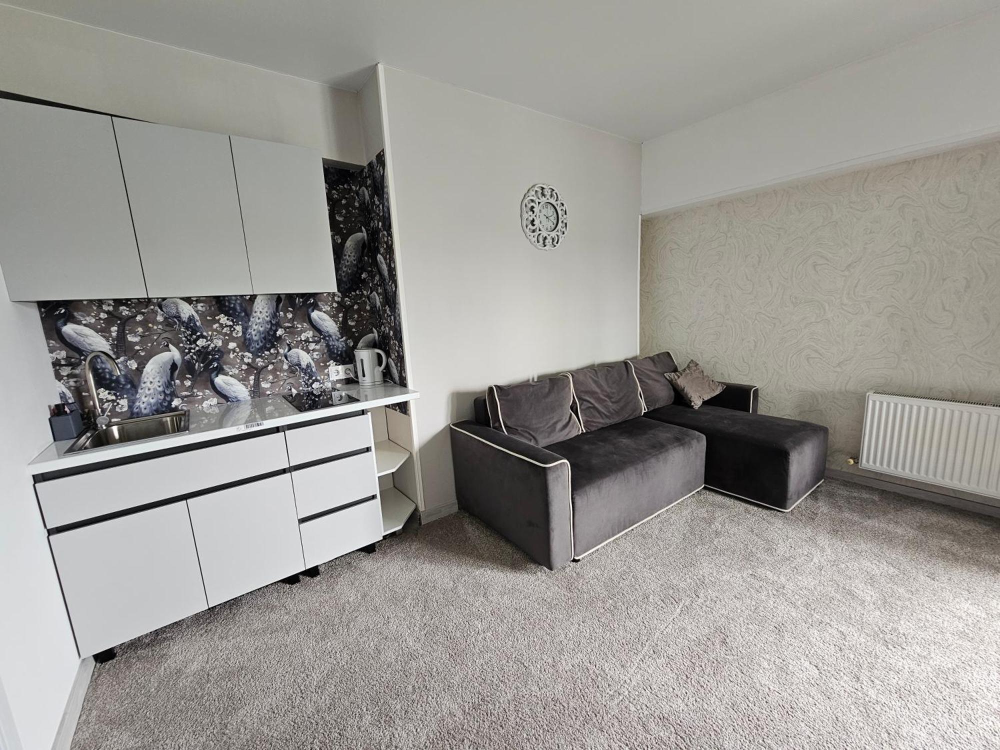 Apartament With Terras Kiszyniów Zewnętrze zdjęcie